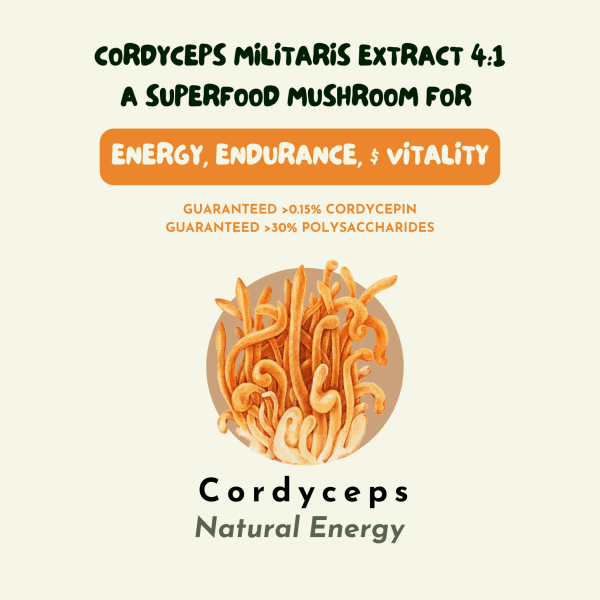 Cordyceps Extract - Image 4