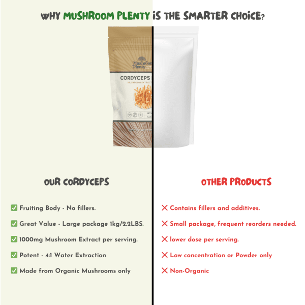 Cordyceps Extract - Image 5