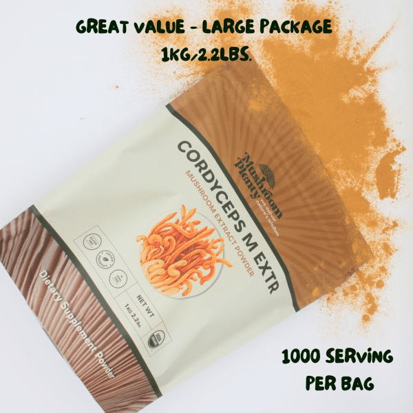 Cordyceps Extract - Image 6