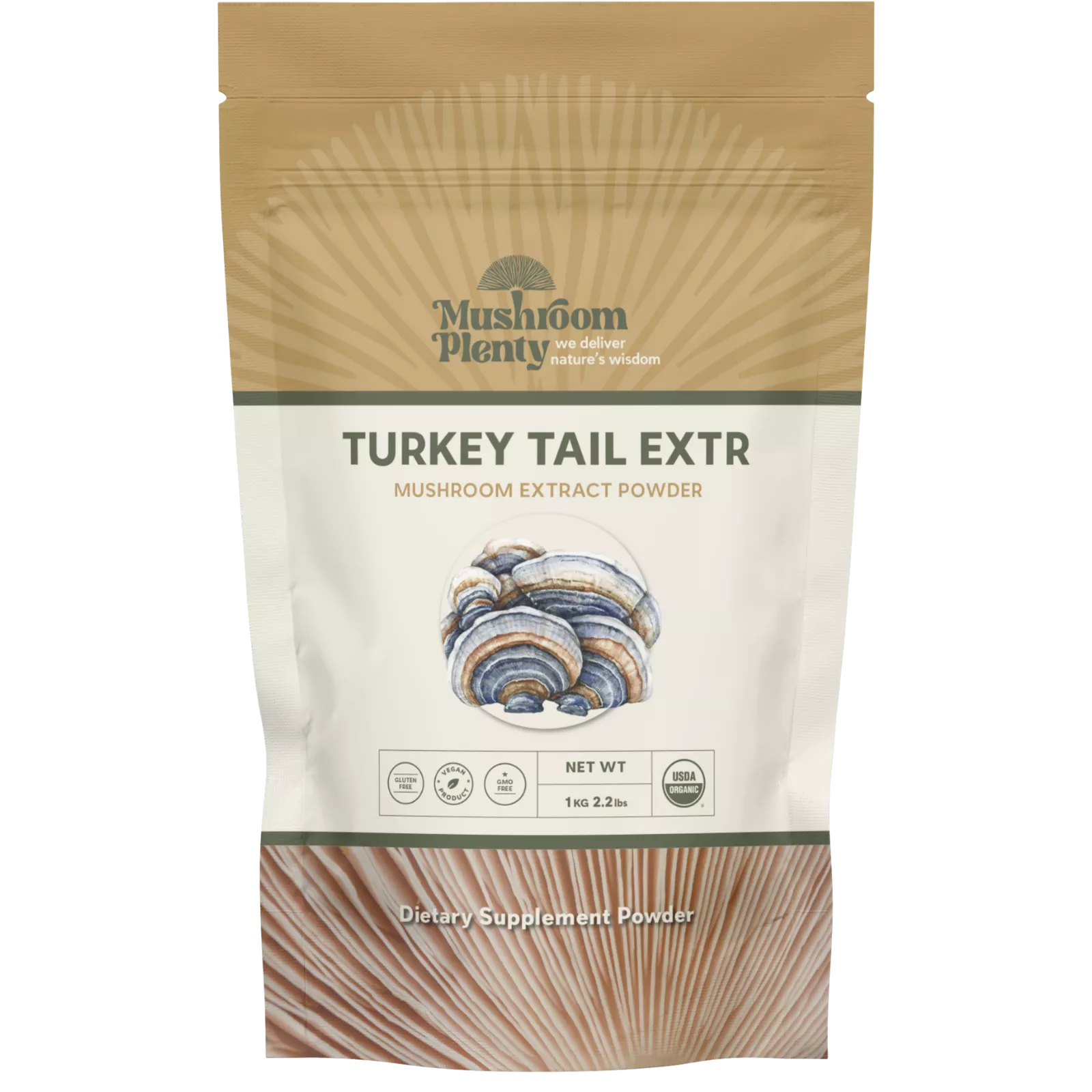 Turkey Tail mushroom extract powder - bulk 4:1 fruiting body