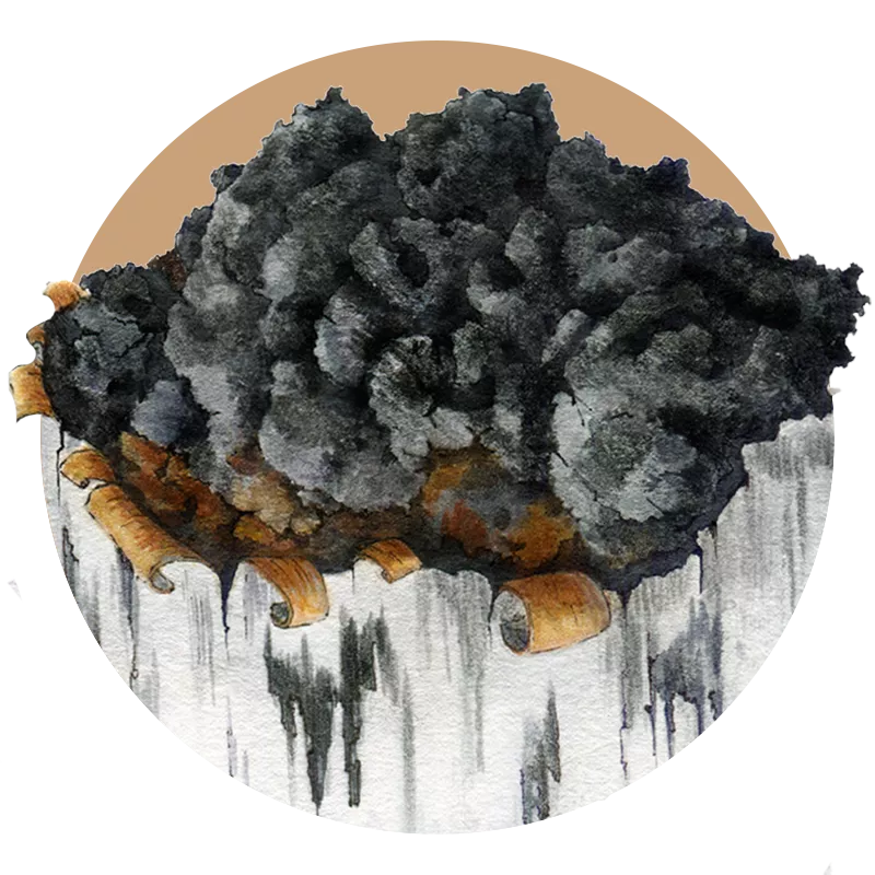 Chaga mushroom extract powder — Inonotus obliquus bulk B2B ingredient, certified-organic supplier