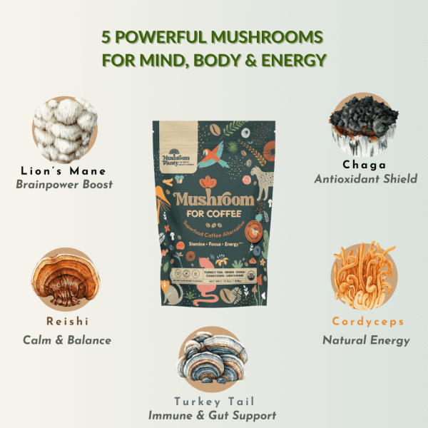 Mushroom For Coffee - Image 7