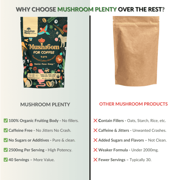 Mushroom For Coffee - Image 8