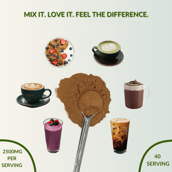 Mushroom For Coffee - Image 10