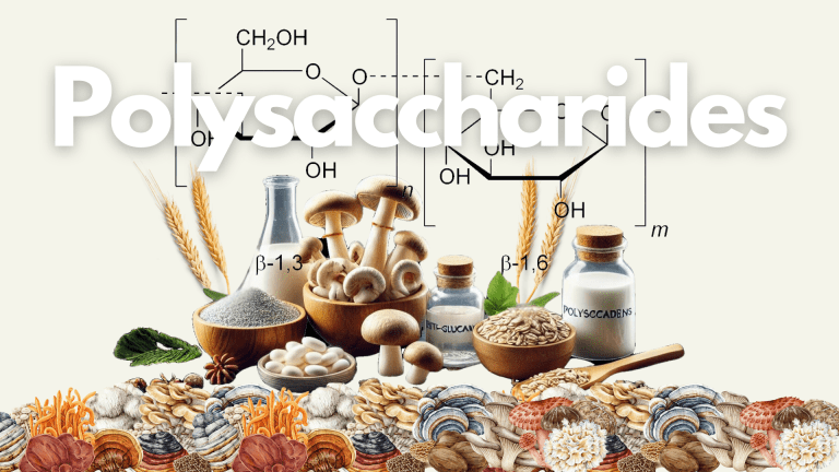 Buyers or Manufacturers, Considering Mushrooms