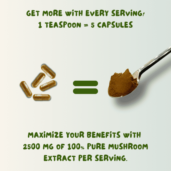 Mushroom For Coffee - Image 9