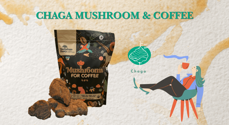 Chaga mushroom extract product