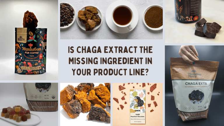 Mushroom fruiting body illustration