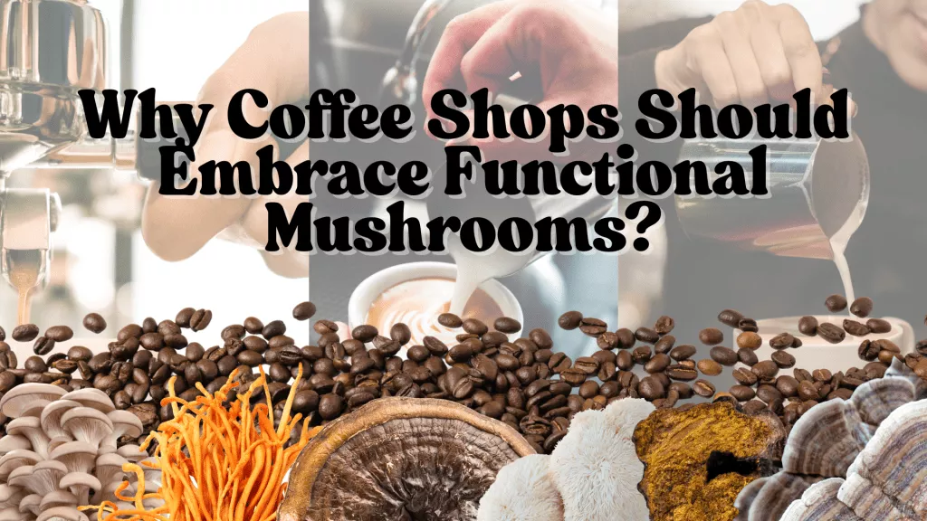Mushroom fruiting body illustration