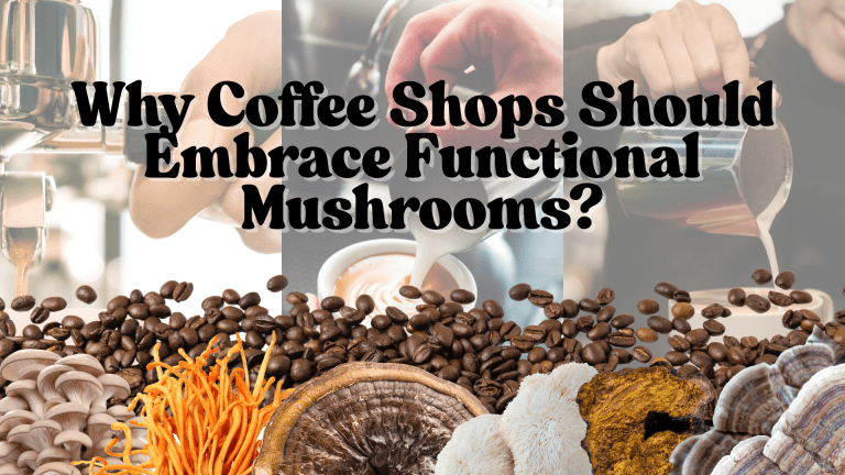 Mushroom fruiting body illustration