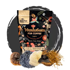 Mushroom Coffee