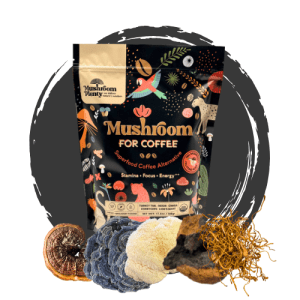 Mushroom Coffee