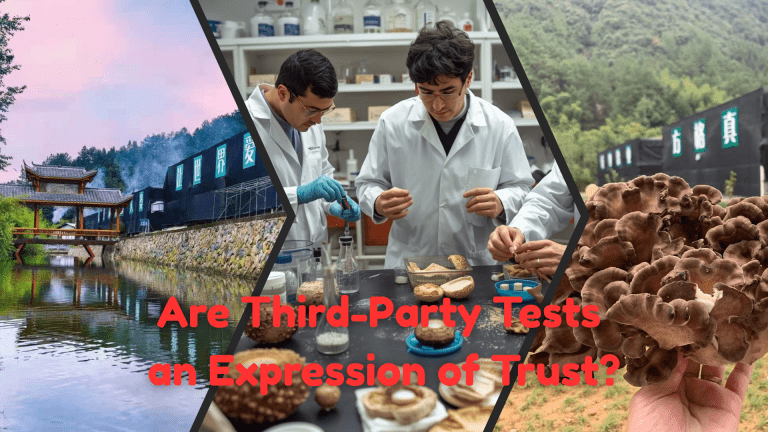 Mushroom fruiting body illustration