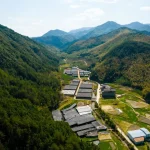 Mushroom Plenty B2B functional mushroom ingredient — 640