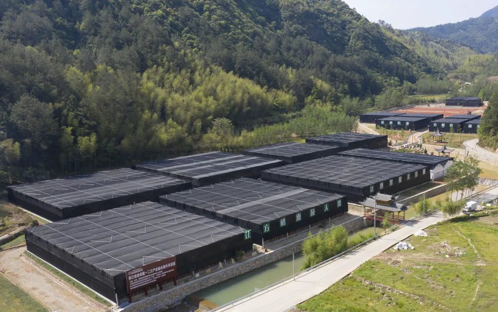 Mushroom Plenty cultivation operations at the QingYuan, China production facility