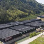 Mushroom Plenty cultivation operations at the QingYuan, China production facility