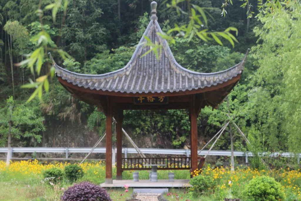 Mushroom Plenty cultivation operations at the QingYuan, China production facility