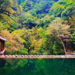 QingYuan mushroom cultivation farm in Zhejiang Province, China