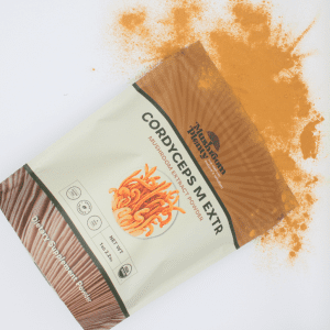 Lion's Mane and Cordyceps functional mushroom extracts