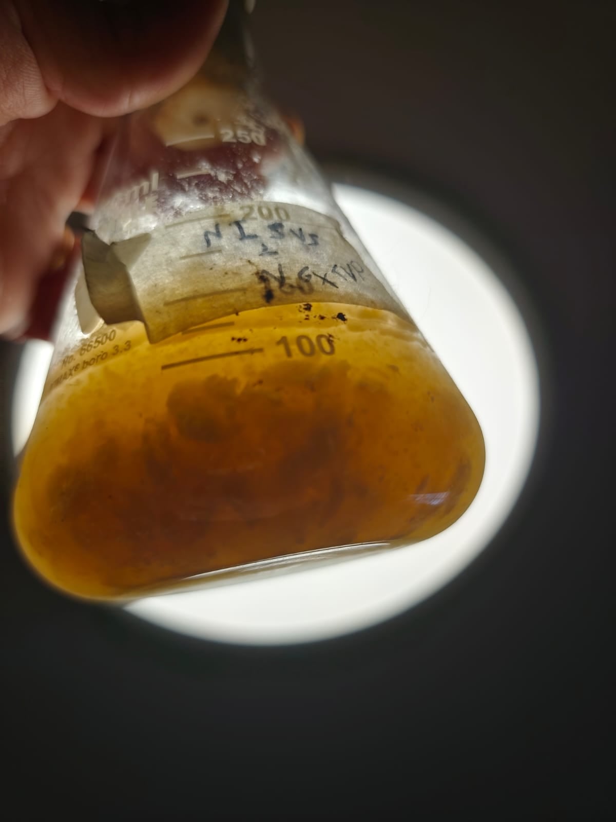 Fermentation sample from Solid Fermentation Innovation pilot lab