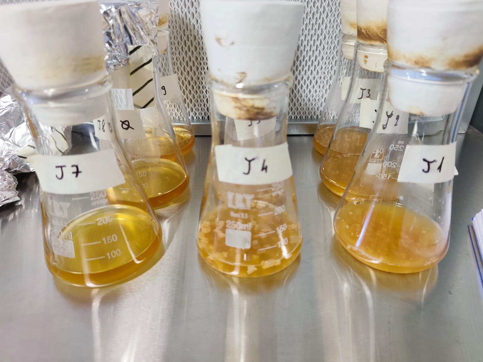 Pilot fermentation flasks with process samples