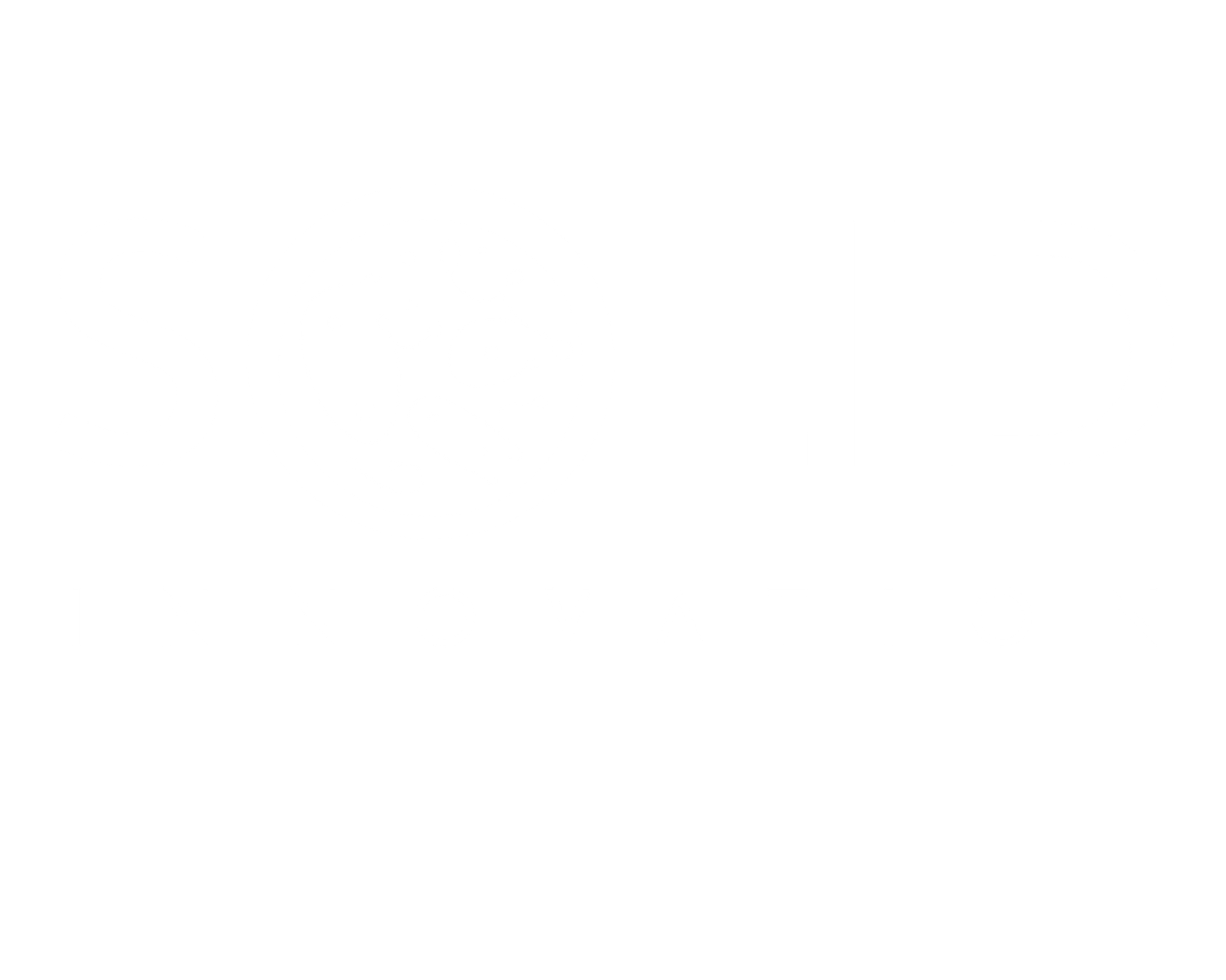 Solid Fermentation Innovation logo